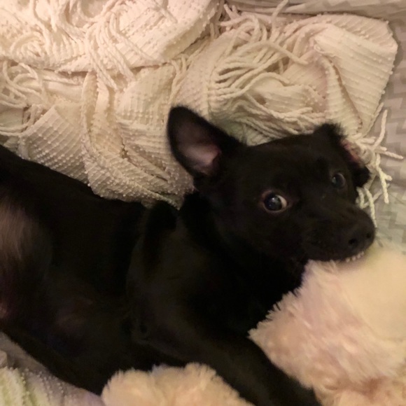 Shop in the Name of Love - Picture 5 of 7